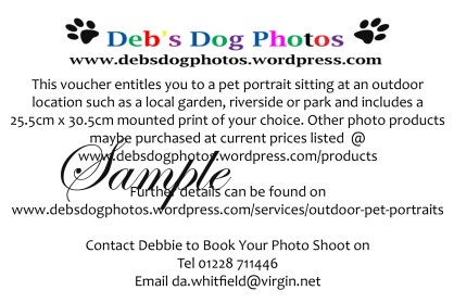 Outdoor Pet Portrait Gift Voucher by Debs Dog Photos